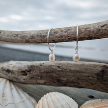 Load image into Gallery viewer, Limited Edition Freshwater Pearl Hoops
